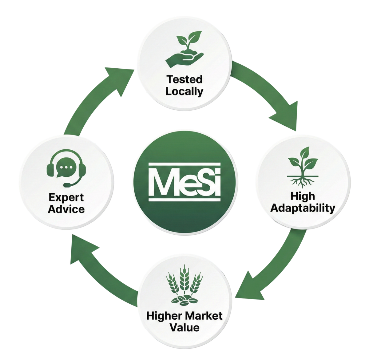 Why Choose MeSi - Tested Locally, High Adaptability, Higher Market Value, Expert Advice