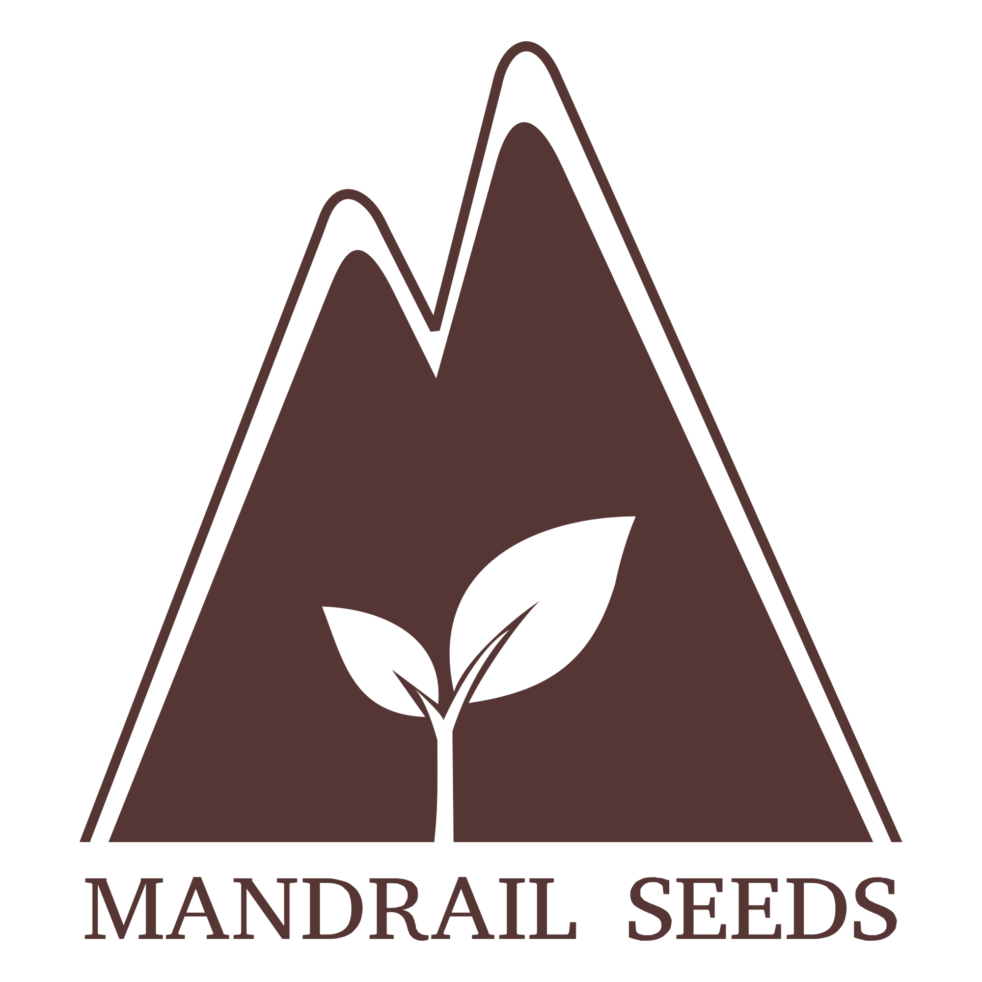 Mandrail Seeds
