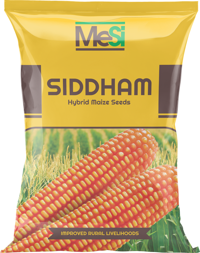 Siddham